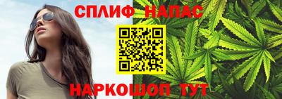 мдпв Гагарин