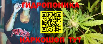 таблы Гатчина