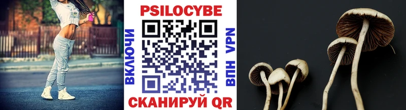 ссылка на мегу Скопин Галлюциногенные грибы Psilocybine cubensis