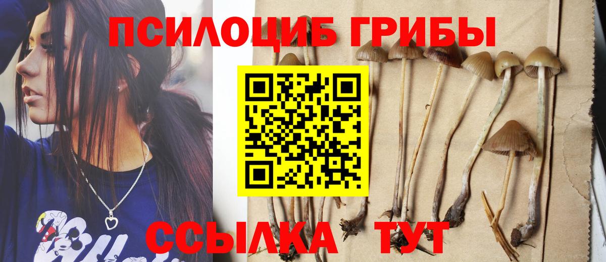 Скопин  Галлюциногенные грибы прущие грибы  Вход с VPN  Псилоцибиновые грибы прущие грибы 