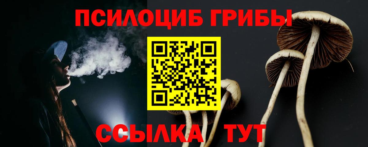 Псилоцибиновые грибы Cubensis Скопин